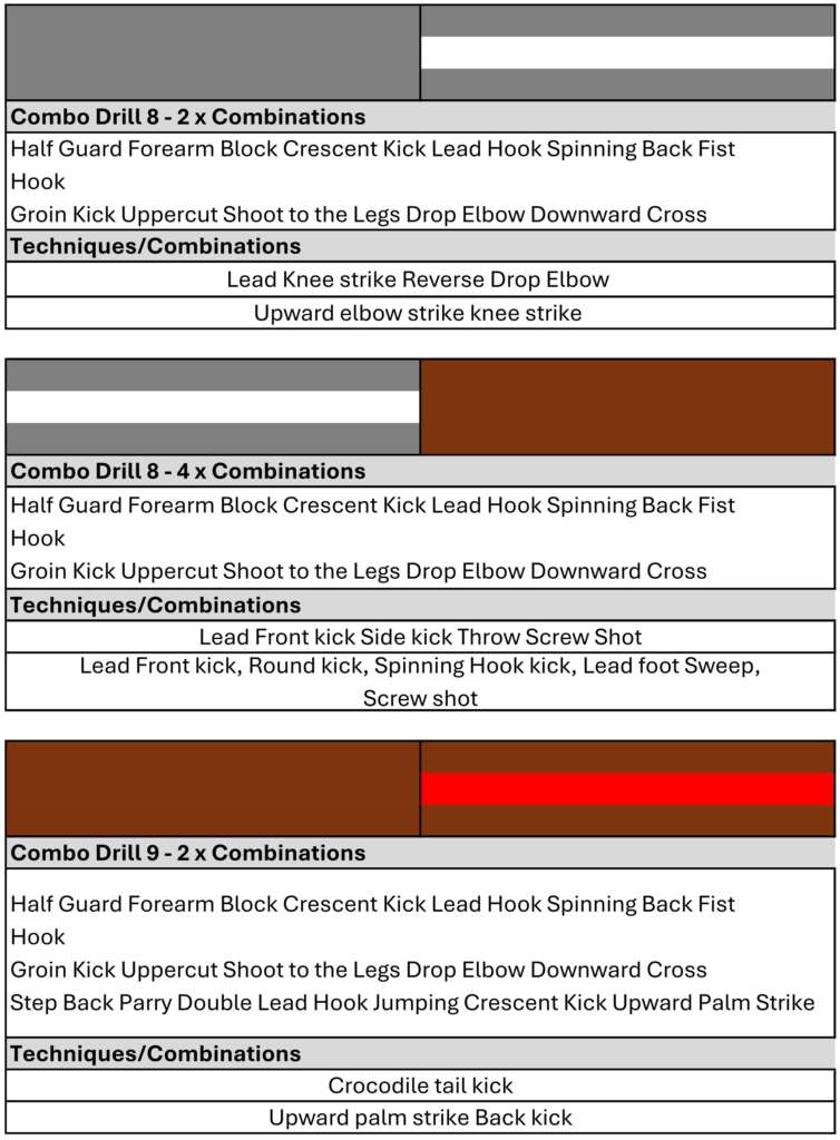 Kickboxing Syllabus to Ist Dan 20256