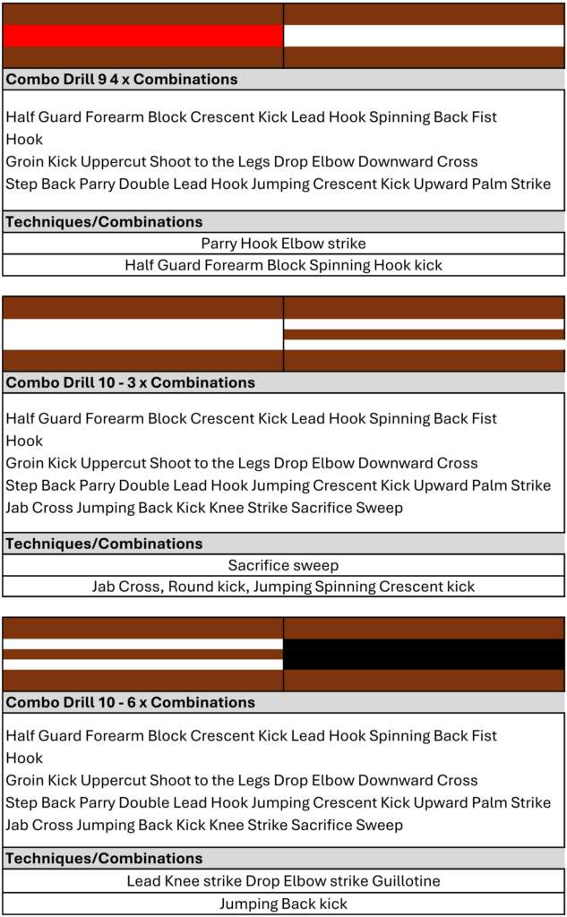 Kickboxing Syllabus to Ist Dan 20257