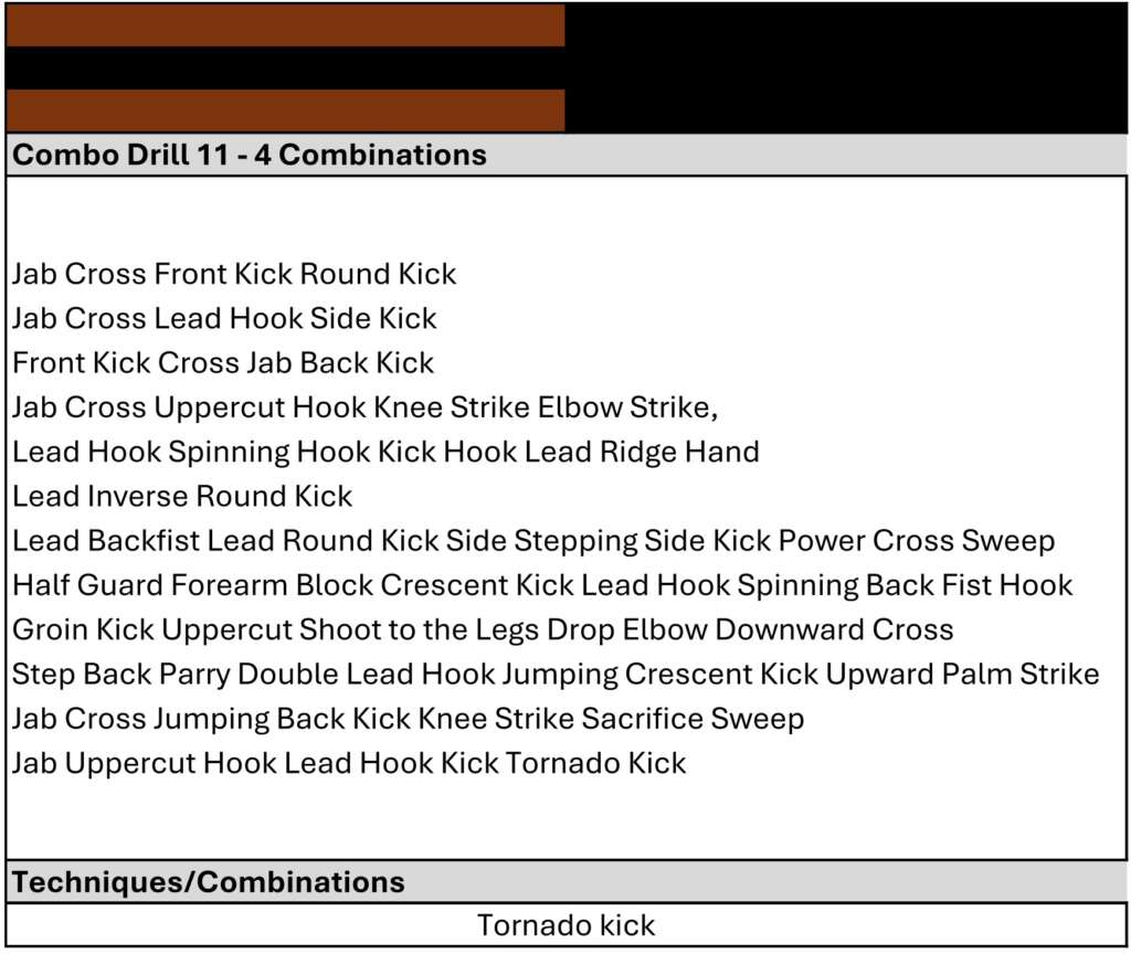 Kickboxing Syllabus to Ist Dan 20258